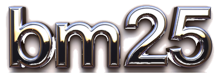 bm25 logo